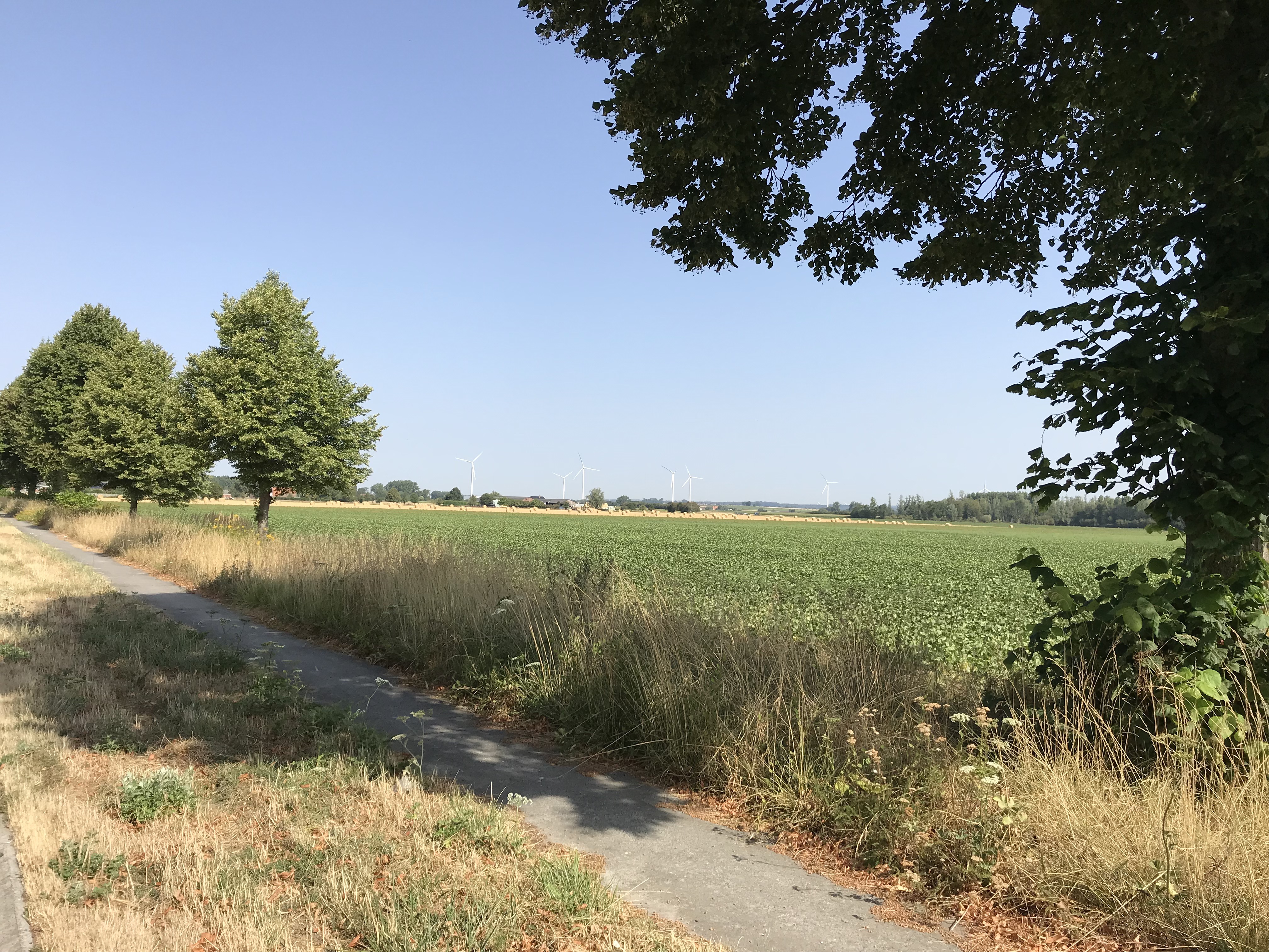 7scbM5IoQ%y6O0E4xeqiOw